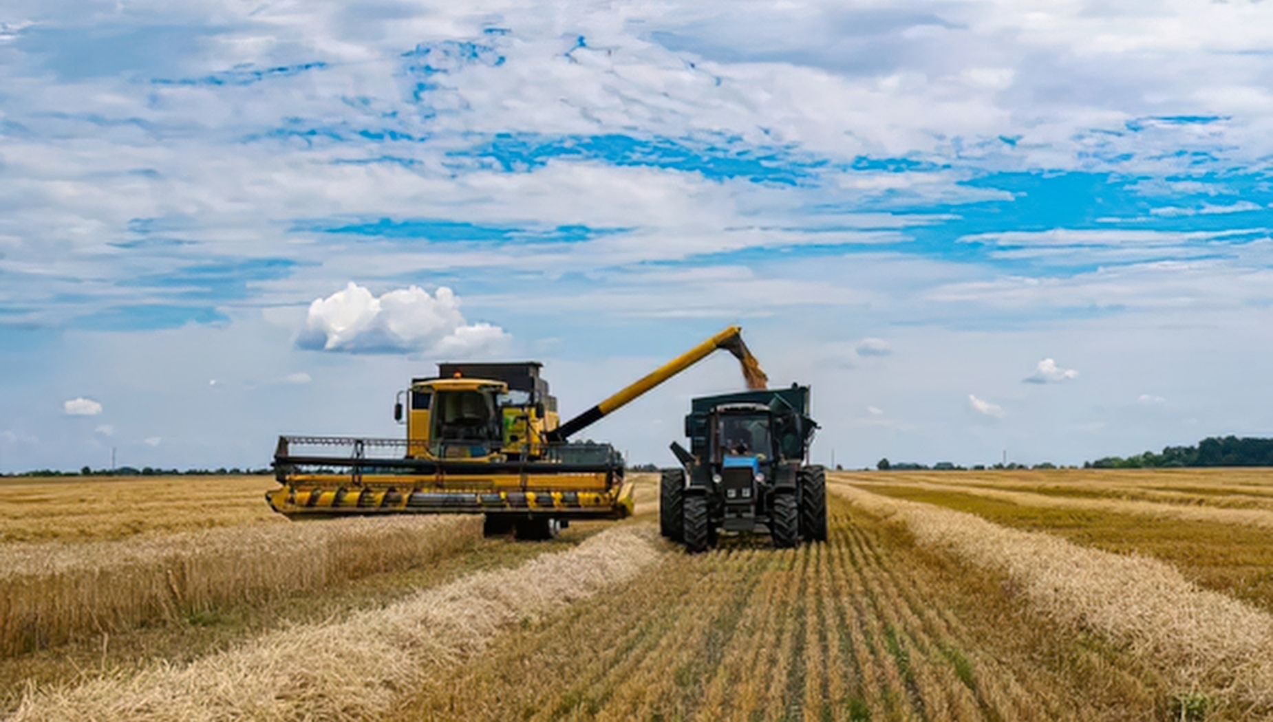 Harvest safety
