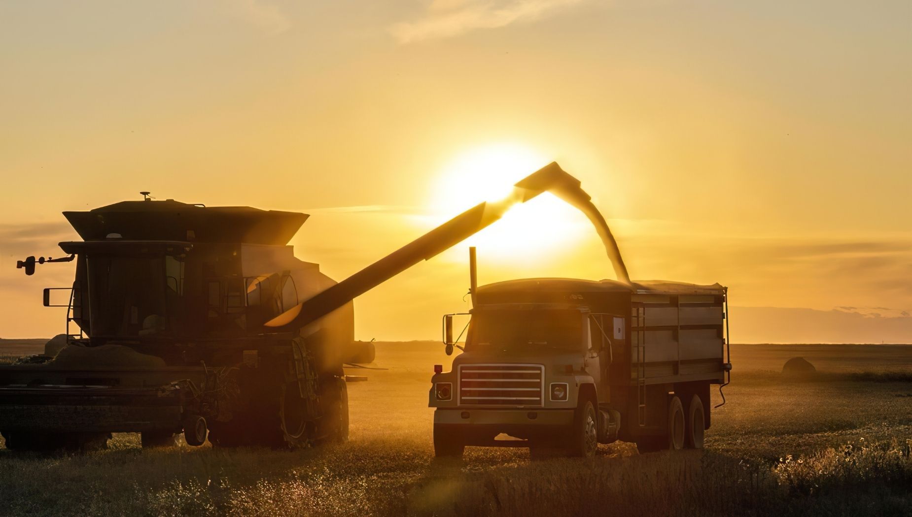harvest